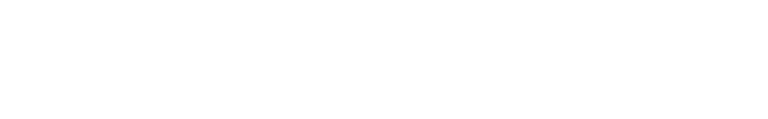 MEDIABULL